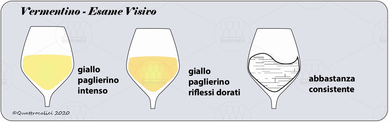 vermentino degustazione visivo