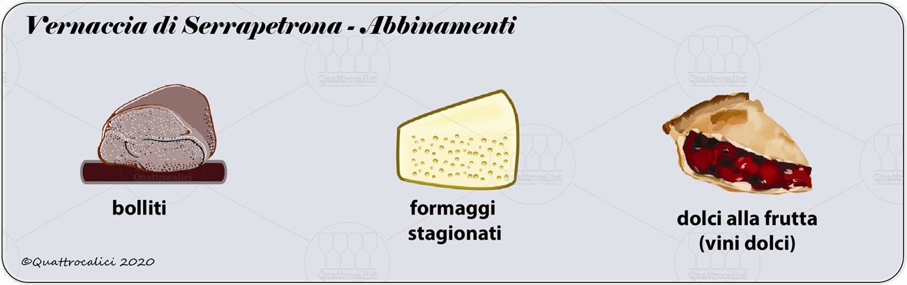 vernaccia serrapetrona degustazione abbinamenti