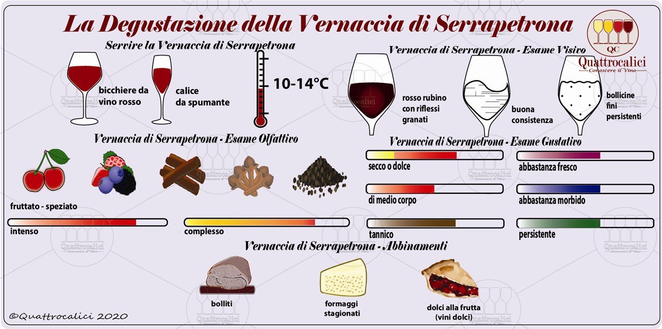 vernaccia serrapetrona degustazione