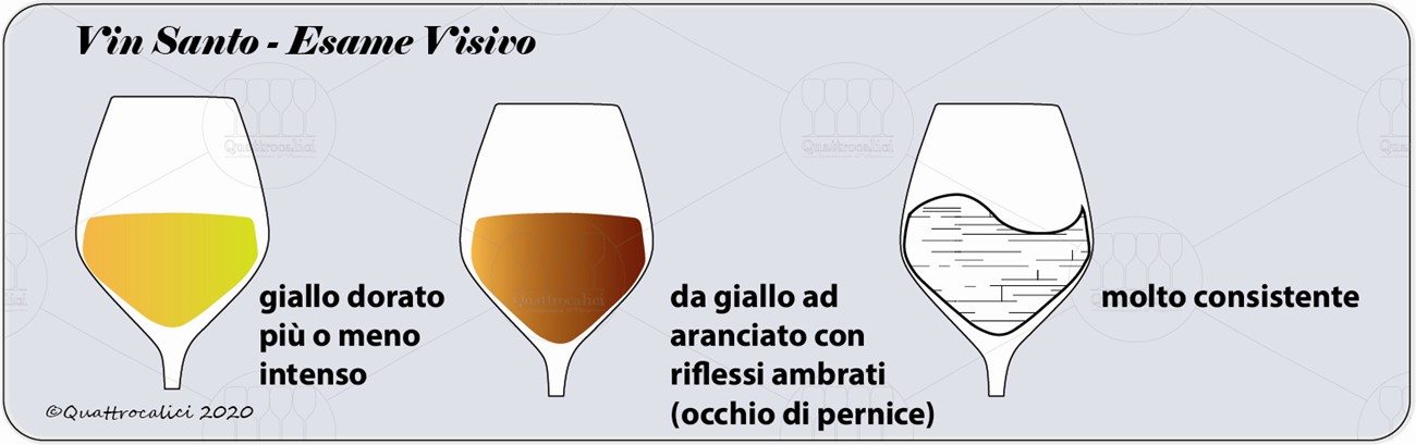 vin santo degustazione visivo