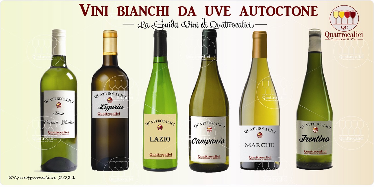 vini bianchi autoctoni guida vini