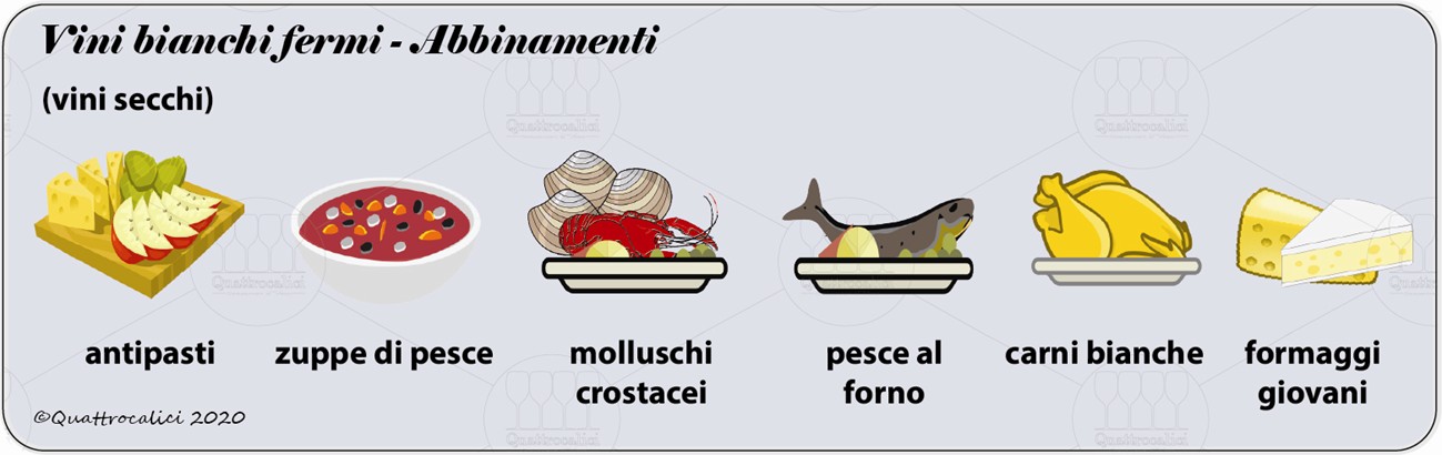 vini bianchi fermi degustazione abbinamenti