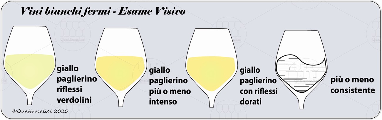 vini bianchi fermi degustazione visivo