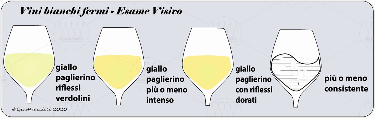 vini bianchi fermi degustazione visivo