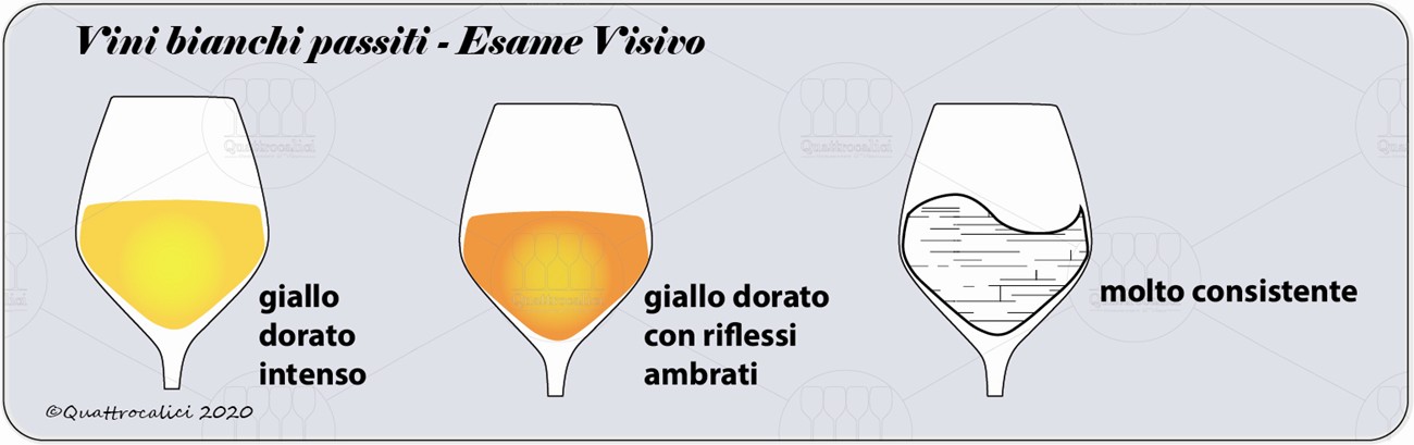 vini bianchi passiti degustazione visivo