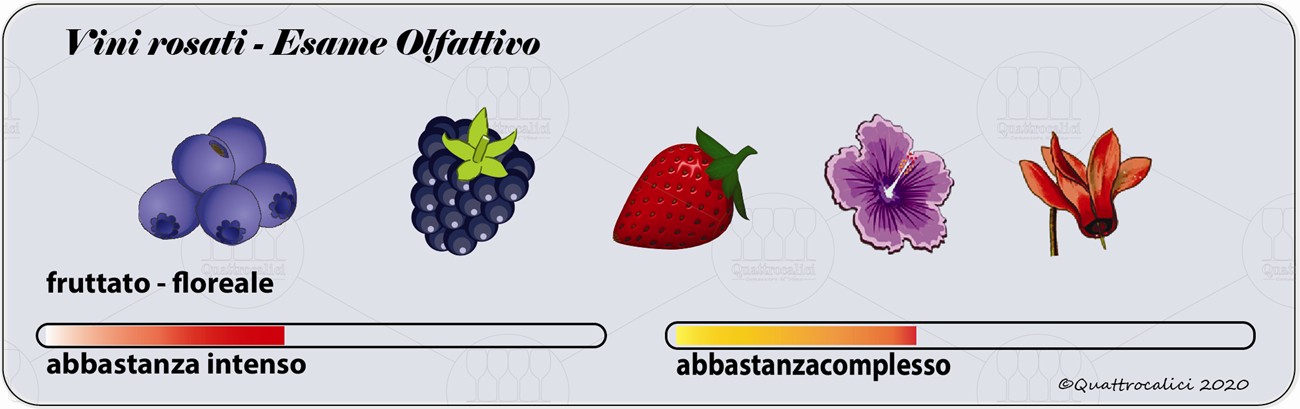 vini rosati degustazione olfattivo