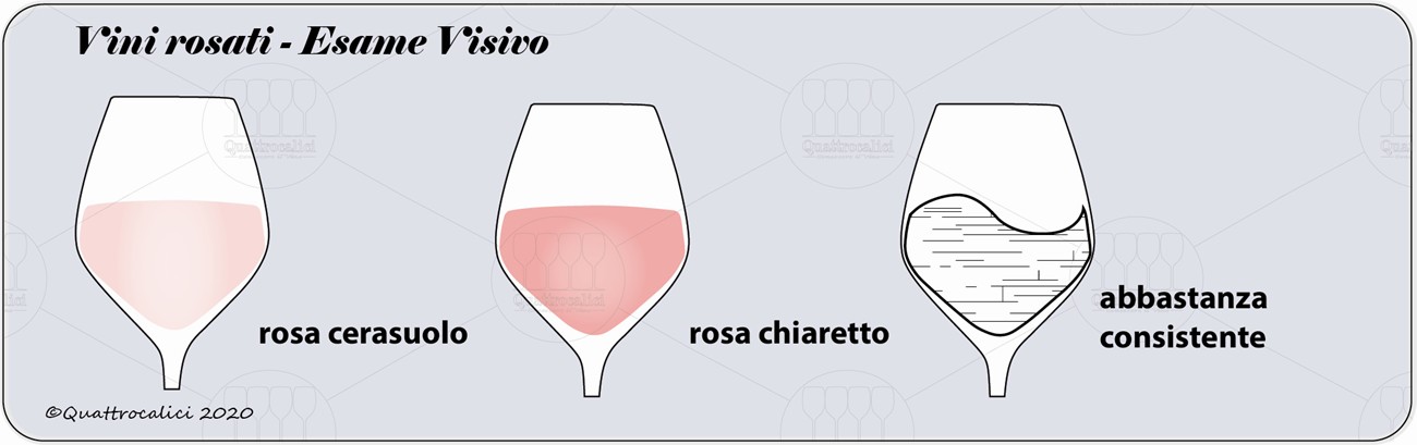 vini rosati degustazione visivo