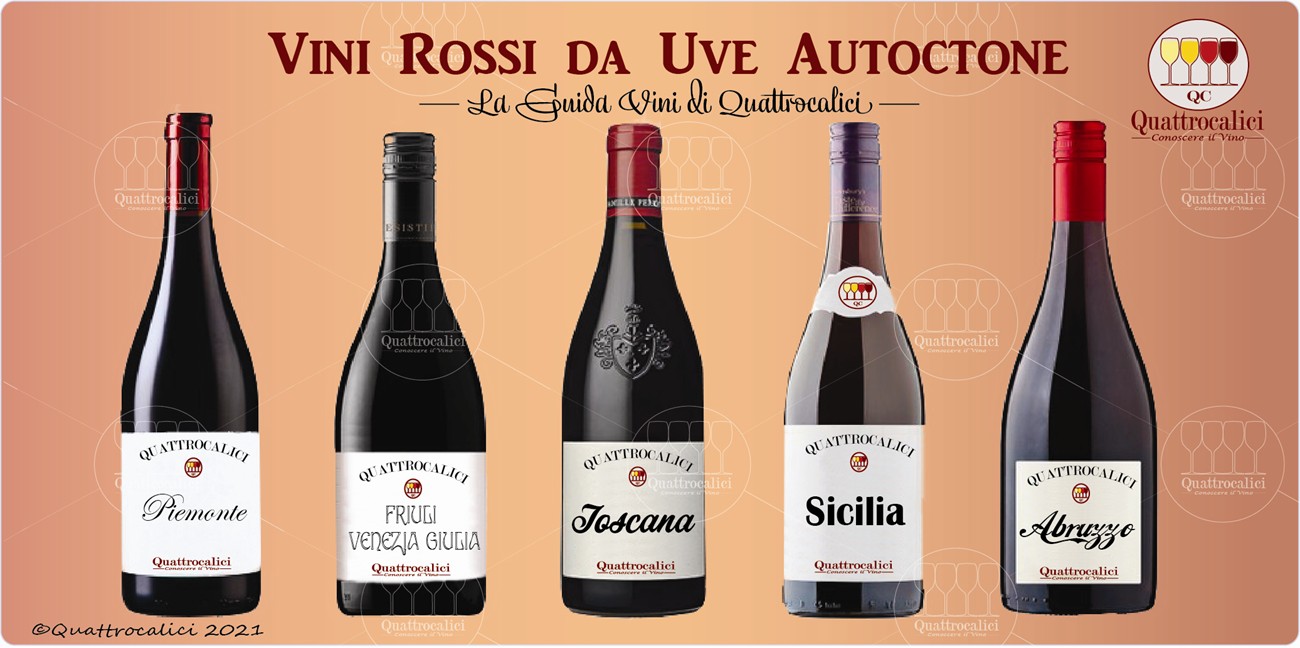 vini rossi da uve autoctone guida vini