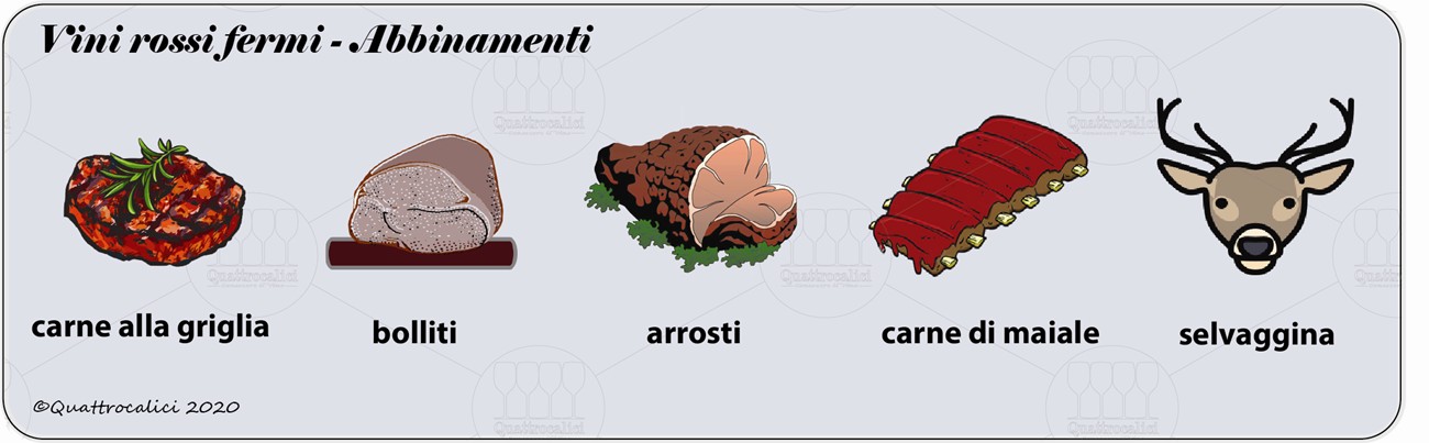 vini rossi fermi degustazione abbinamenti