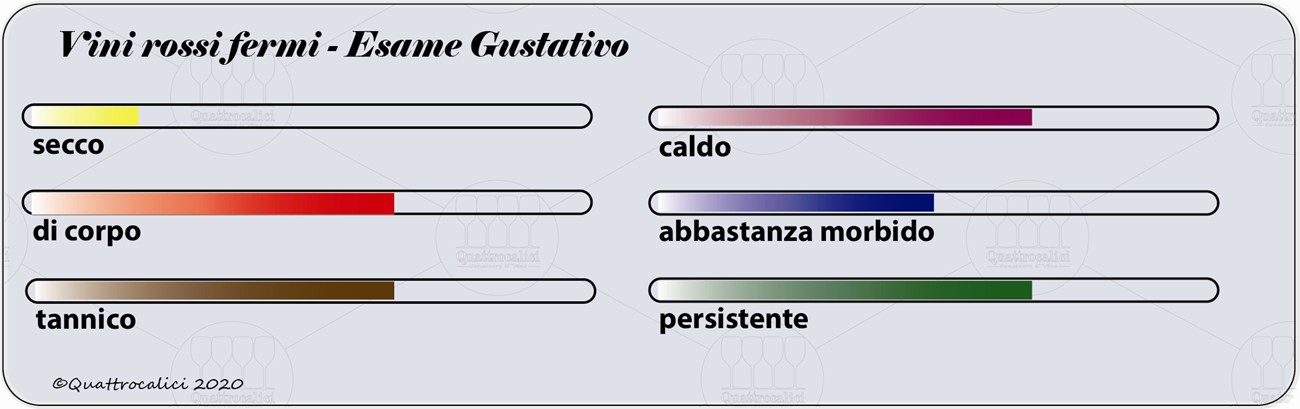 vini rossi fermi degustazione gustativo