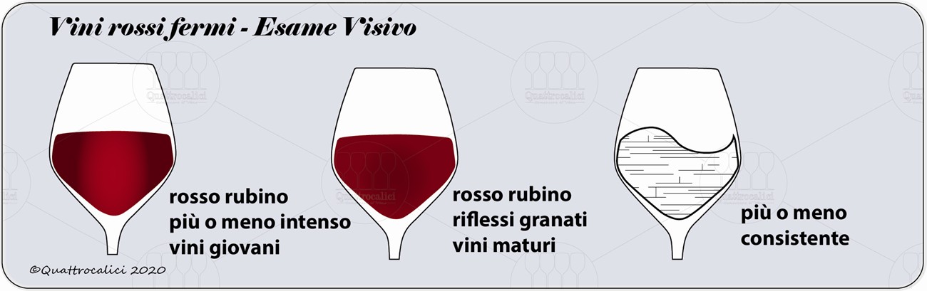 vini rossi fermi degustazione visivo