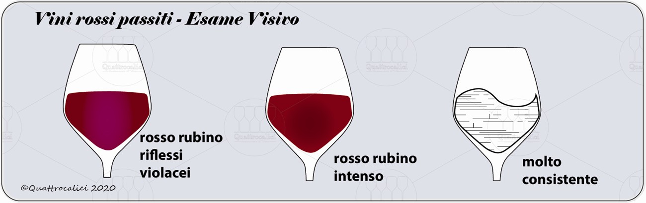 vini rossi passiti degustazione visivo