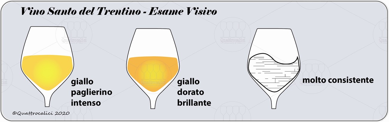 vino santo del trentino degustazione visivo