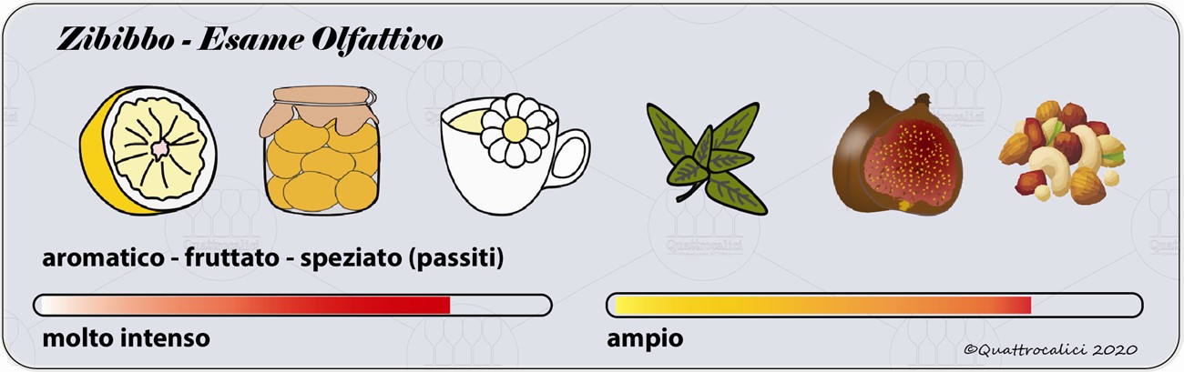 zibibbo degustazione olfattivo