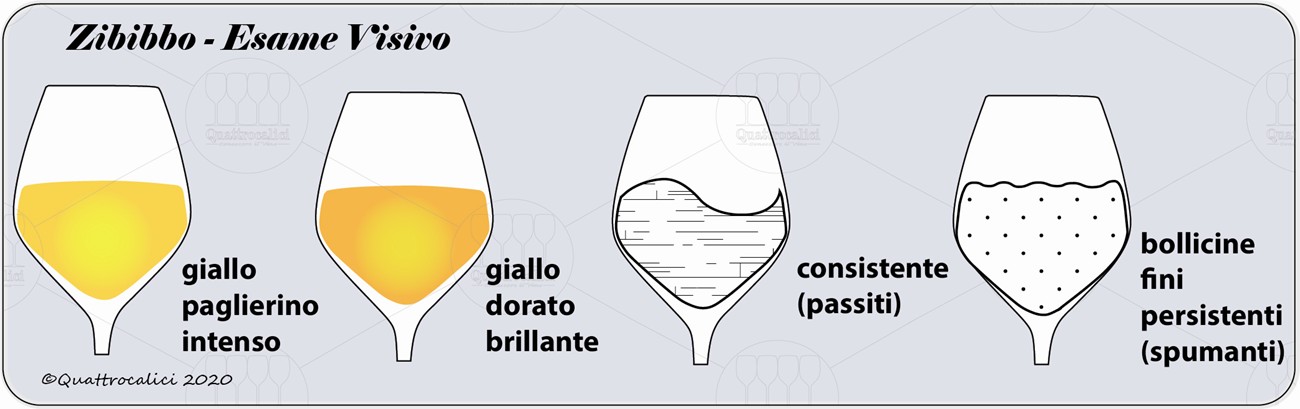 zibibbo degustazione visivo