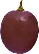 acino-rosso-scuro