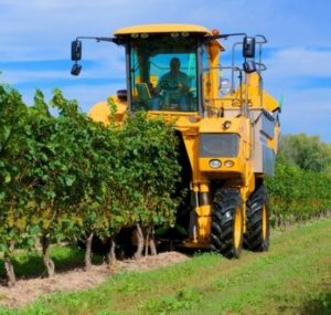 vendemmia-meccanica