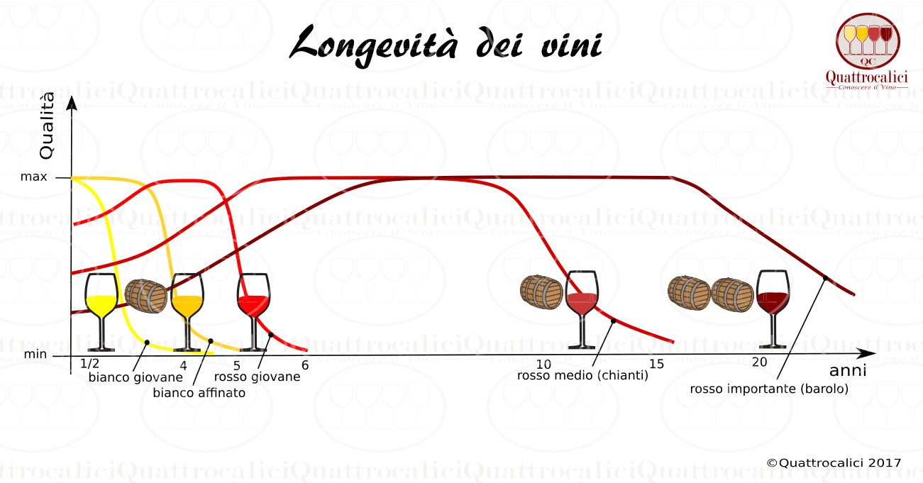 longevità vini
