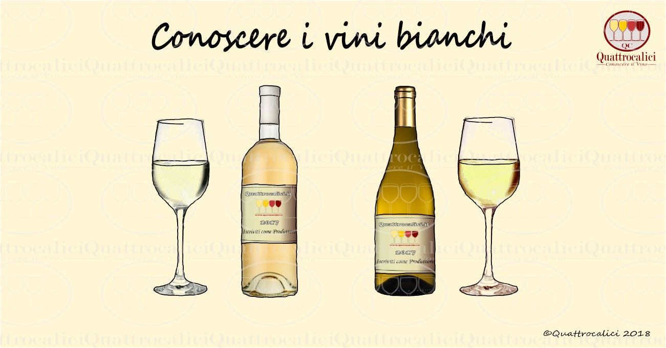 Conoscere i vini bianchi