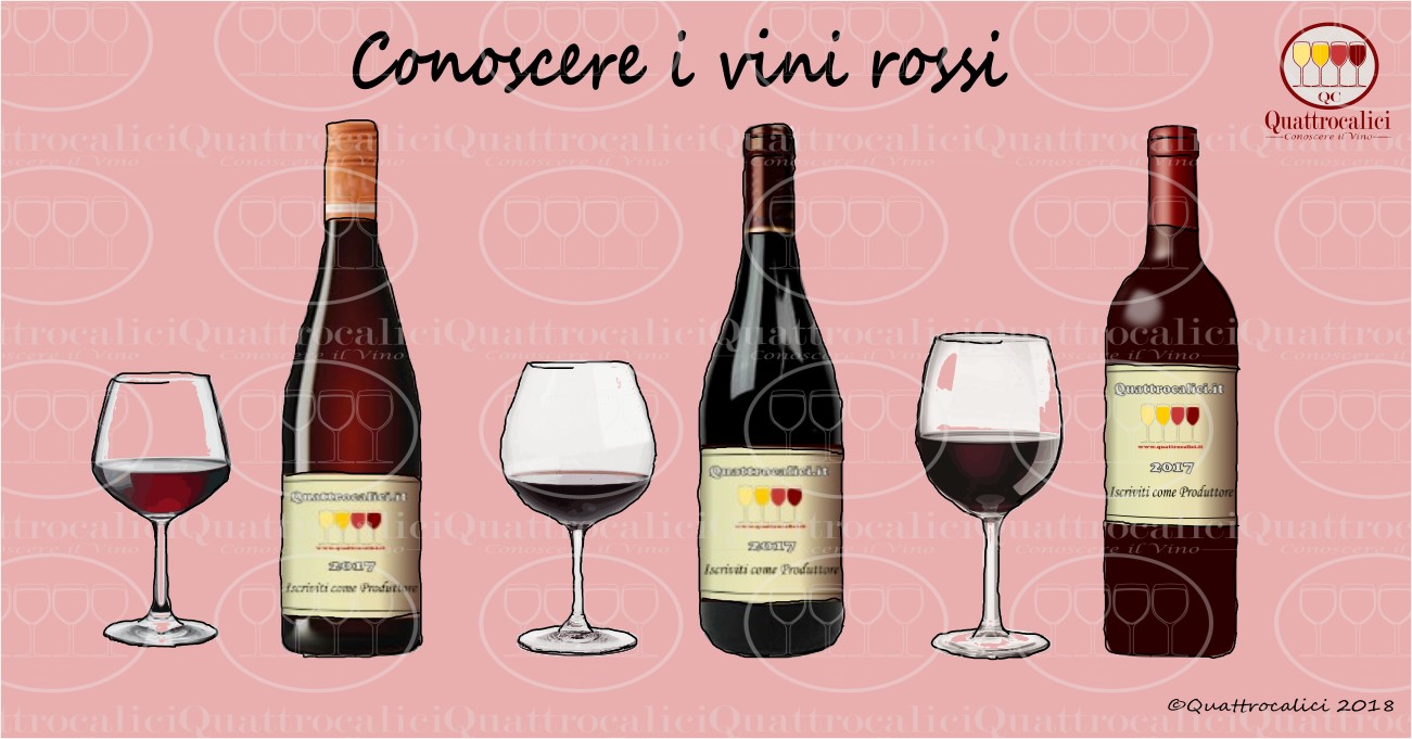 conoscere i vini rossi