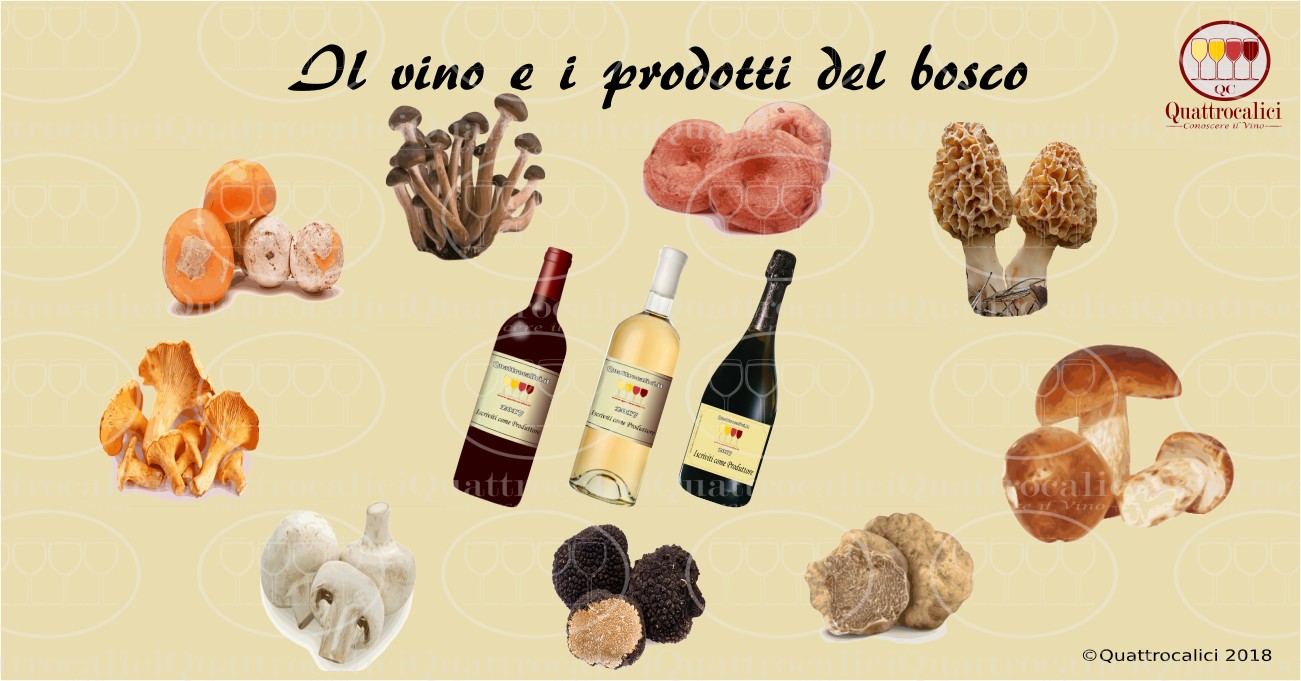 vino abbinamento funghi tartufi