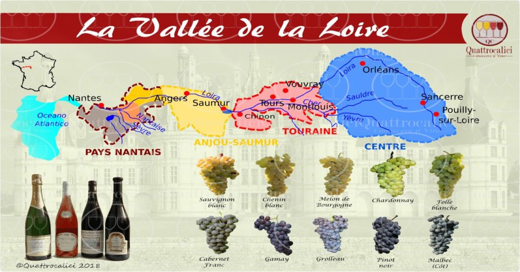 Valle della Loira Quattrocalici Conoscere il Vino