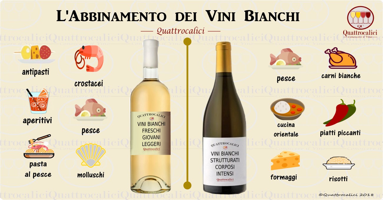 L'Abbinamento dei vini bianchi - Quattrocalici - Conoscere il Vino