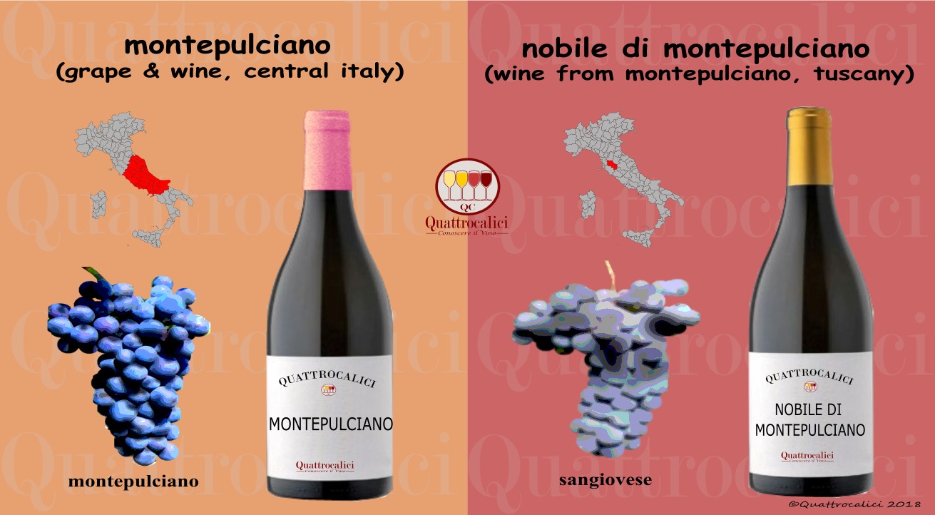 montepulciano vino e vitigno