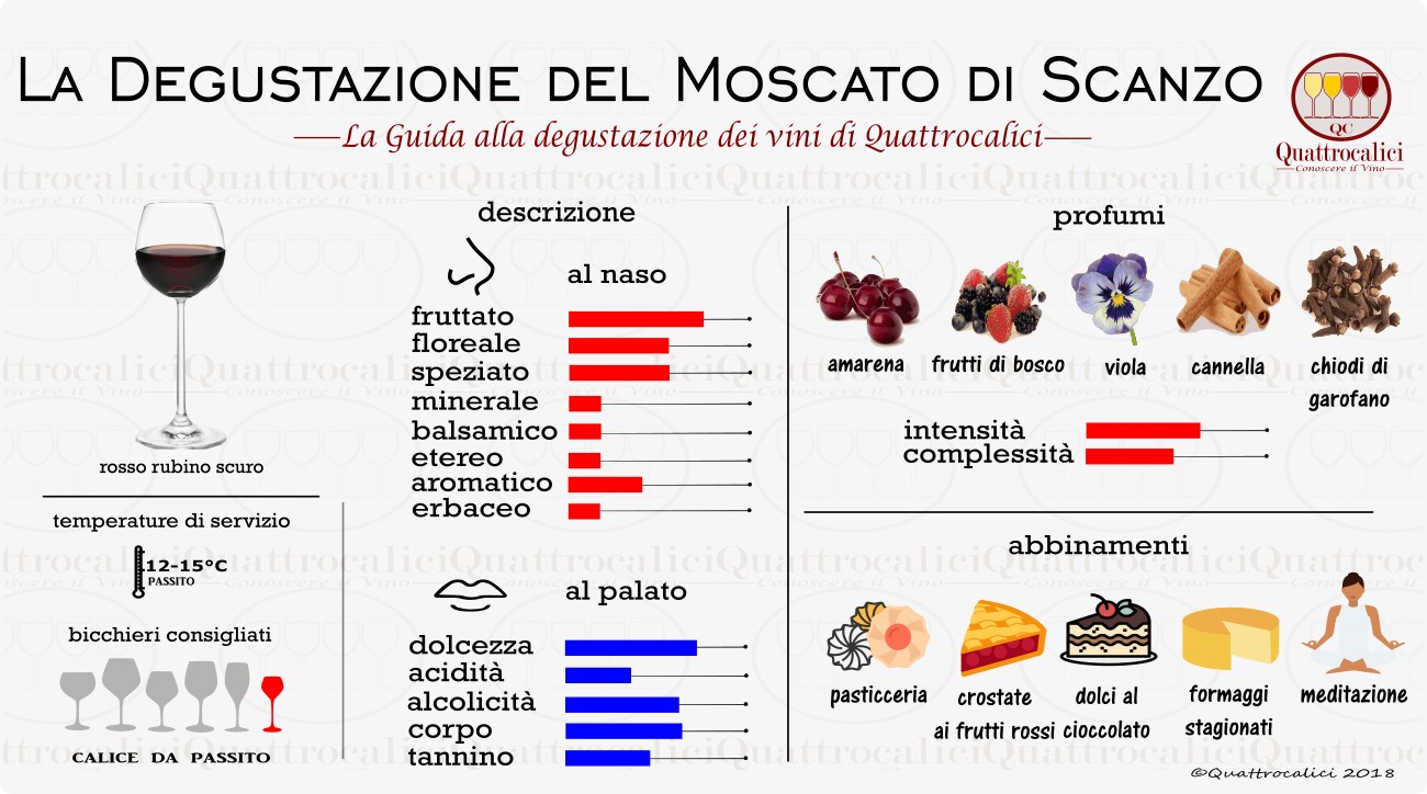 moscato di scanzo degustazione vino