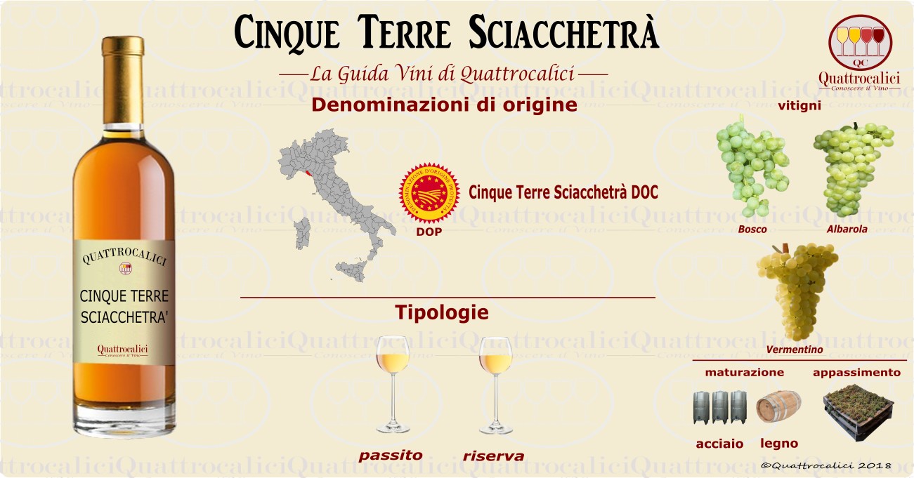 sciacchetra vini