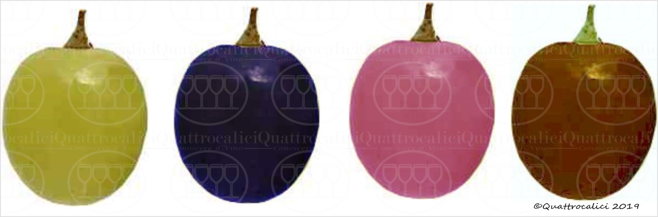 colore acini uva-bacche