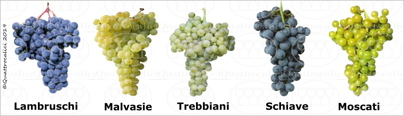 Le Famiglie di Vitigni