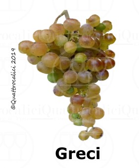 Vitigni Greci