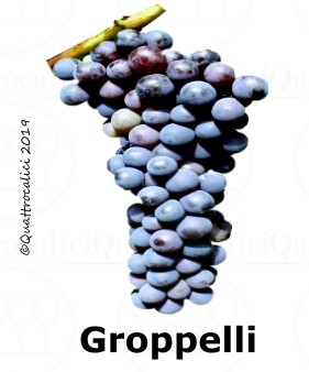 Groppelli - Famiglia di Vitigni