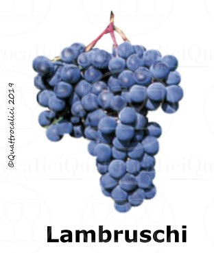 Lambruschi - Famiglia di Vitigni
