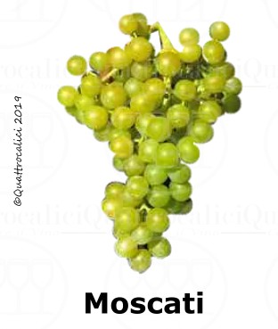 Moscati - Famiglia di Vitigni