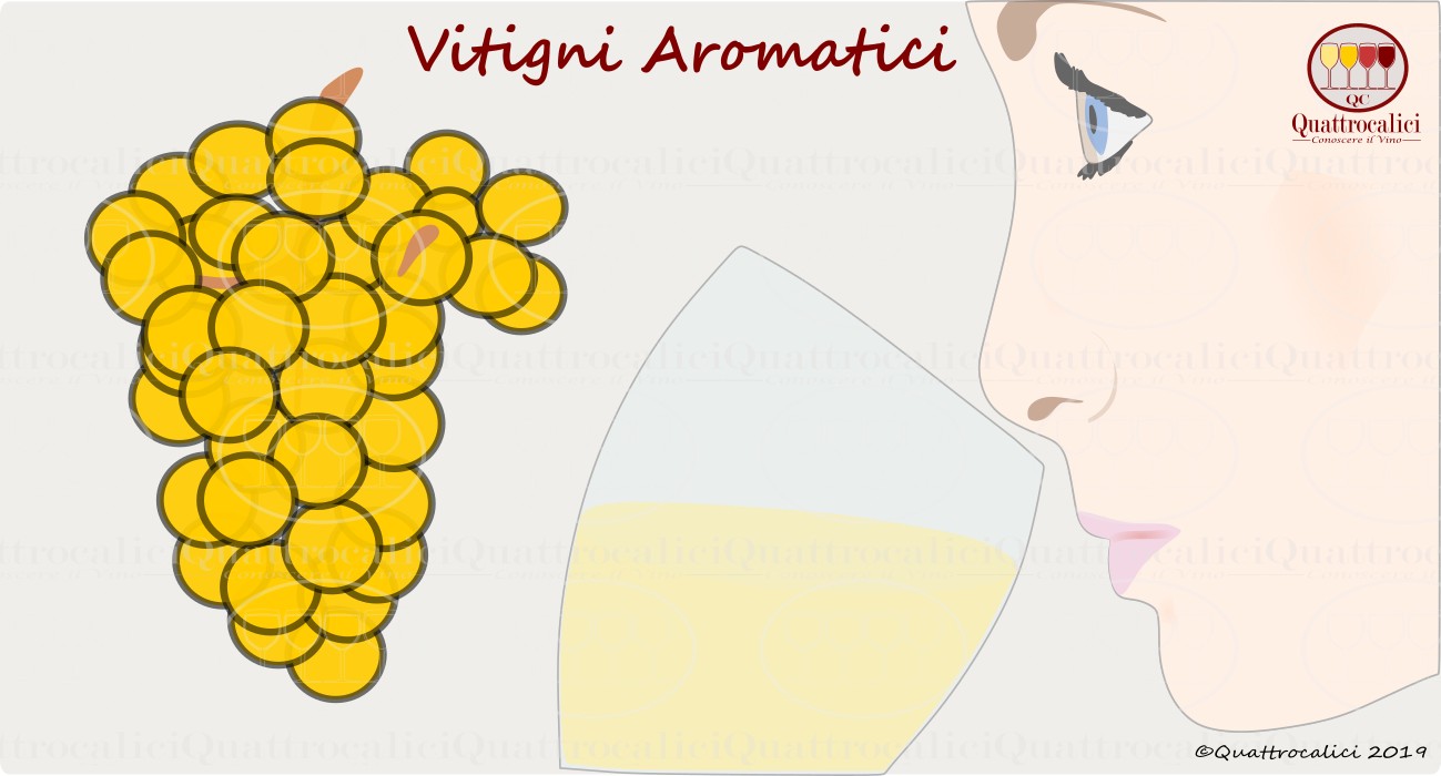 I Vitigni Aromatici