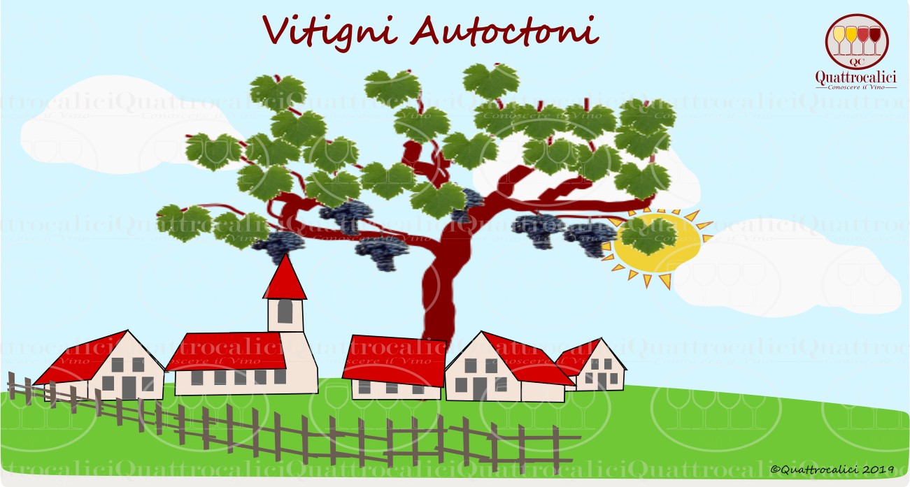 Vitigni autoctoni
