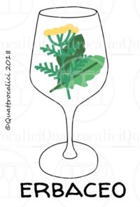 vino erbaceo