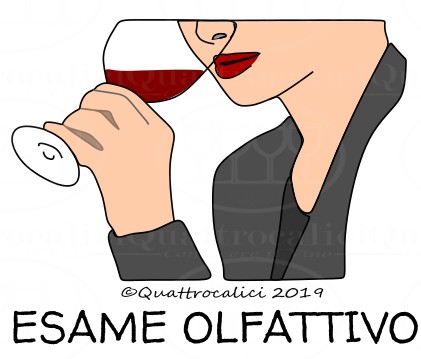 Degustazione del vino: Esame Olfattivo