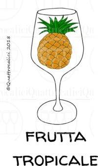 I profumi del vino: frutti rossi
