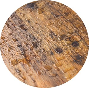 Il profumo di legno bagnato nei vini