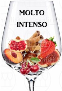 vino molto intenso