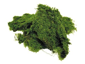 Il profumo di muschio nei vini