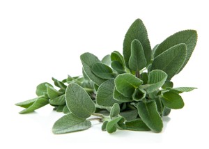 Il profumo di salvia nei vini