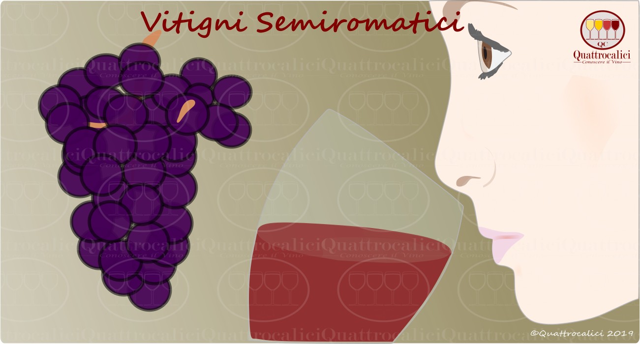 I Vitigni Semiaromatici