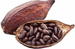 Il profumo di cacao nel vino
