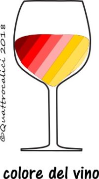 Il colore del vino