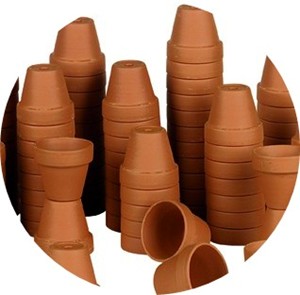 Il profumo di terracotta nei vini