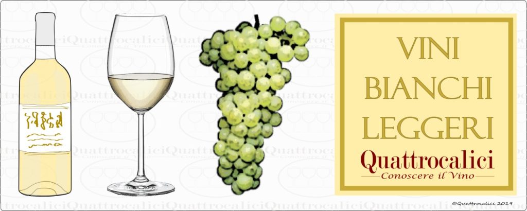 guida-acquisto-vini-bianchi-leggeri